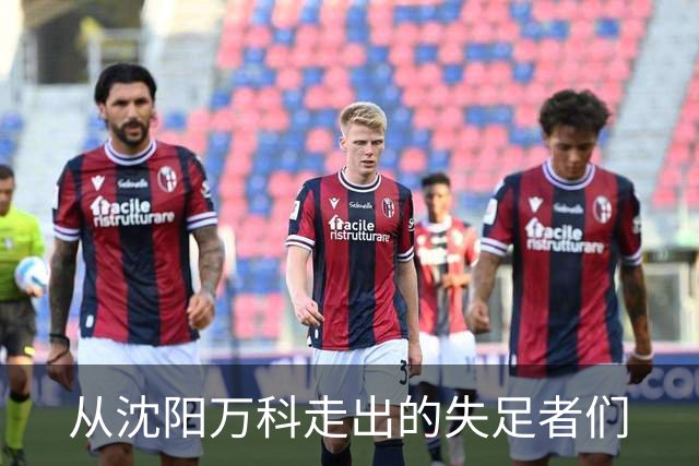 从沈阳万科走出的失足者们